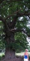 Albums/20090700-Windsor Great Park/1